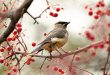 The Top Native Plants That Will Attract Birds to the Garden